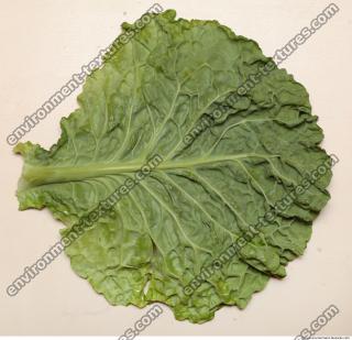 Photo Texture of Leaf Cabbage 0004